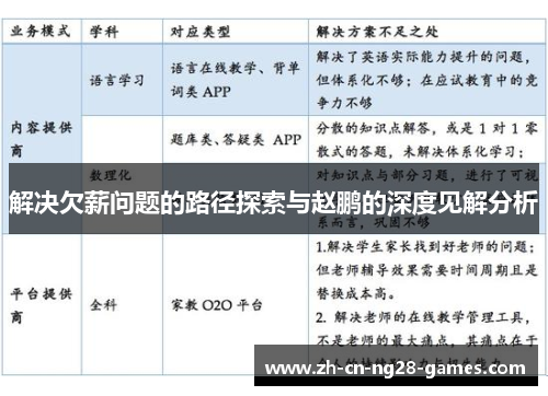 解决欠薪问题的路径探索与赵鹏的深度见解分析