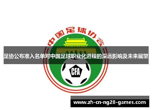 足协公布准入名单对中国足球职业化进程的深远影响及未来展望