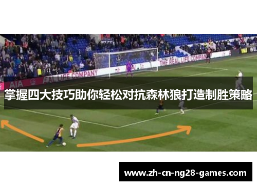 掌握四大技巧助你轻松对抗森林狼打造制胜策略